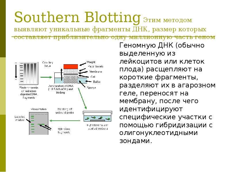 Карты блот