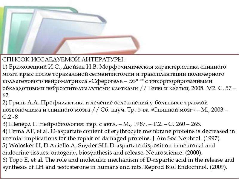 План лит обзора