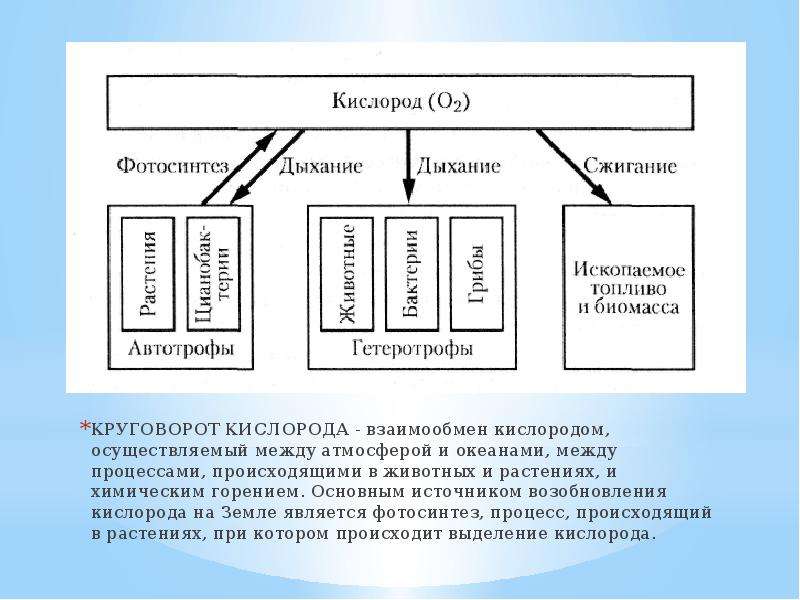 Круговорот кислорода презентация 11 класс