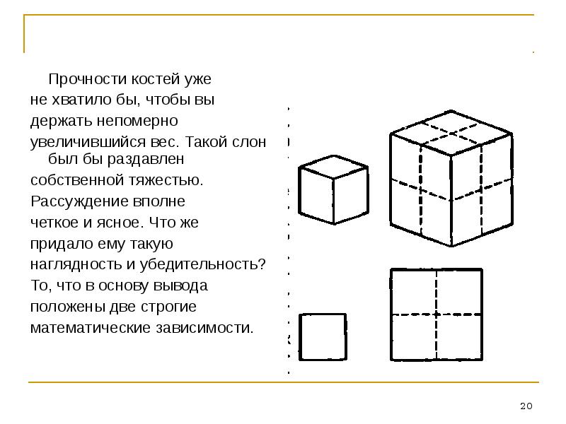 Прочность кости