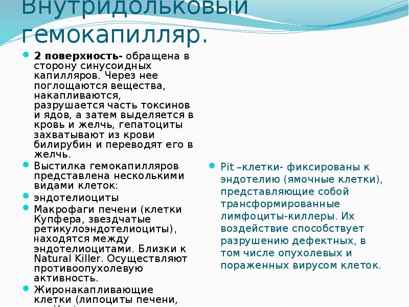   Внутридольковый гемокапилляр.
2 поверхность- обращена в сторону синусоидных капилляров. Через нее поглощаются вещества, накапливаются, разрушается часть токсинов и ядов, а затем выделяется в кровь и желчь, гепатоциты захватывают из крови билирубин и переводят его в желчь.
Выстилка гемокапилляров представлена несколькими видами клеток:
эндотелиоциты
Макрофаги печени (клетки Купфера, звездчатые ретикулоэндотелиоциты), находятся между эндотелиоцитами. Близки к Natural Killer. Осуществляют противоопухолевую активность.
Жиронакапливающие клетки (липоциты печени, кл. Ито). 
