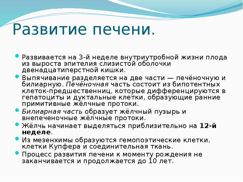   Развитие печени.
Развивается на 3-й неделе внутриутробной жизни плода из выроста эпителия слизистой оболочки двенадцатиперстной кишки. 
Выпячивание разделяется на две части — печёночную и билиарную. Печёночная часть состоит из бипотентных клеток-предшественниц, которые дифференцируются в гепатоциты и дуктальные клетки, образующие ранние примитивные жёлчные протоки. 
Билиарная часть образует жёлчный пузырь и внепеченочные жёлчные протоки. 
Жёлчь начинает выделяться приблизительно на 12-й неделе. 
Из мезенхимы образуются гемопоэтические клетки, клетки Купфера и соединительная ткань. 
Процесс развития печени к моменту рождения не заканчивается и продолжается до 10 лет.
