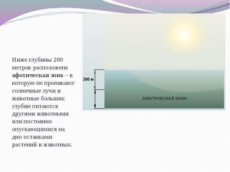 Глубина 100 метров. Глубина 200 метров. На глубину проникают лучи. Афотическая зона. На какую глубину проникают солнечные лучи.