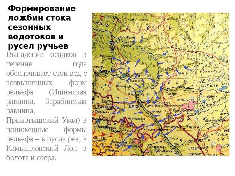 Прииртышский Увал. Рельеф Омской области. Северные Увалы на карте. Ишимская равнина Барабинская.