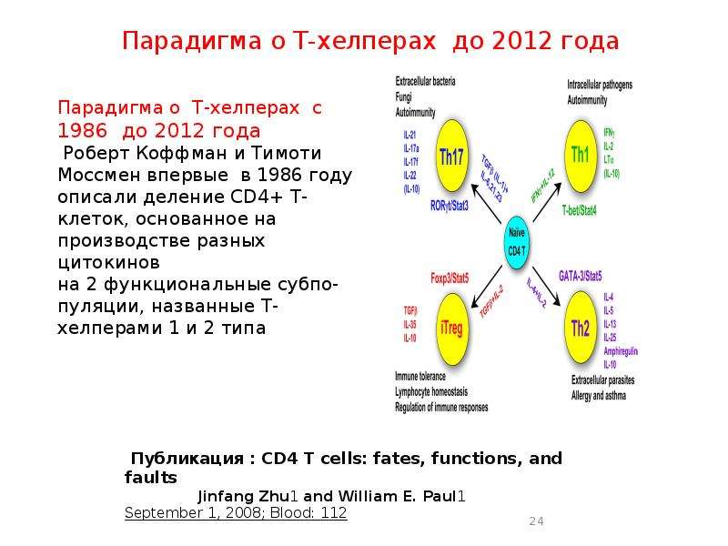 17 взаимодействие клеток в иммунном ответе трехклеточная схема кооперации