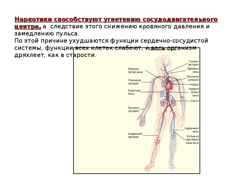 Презентация на тему влияние наркотиков на организм человека