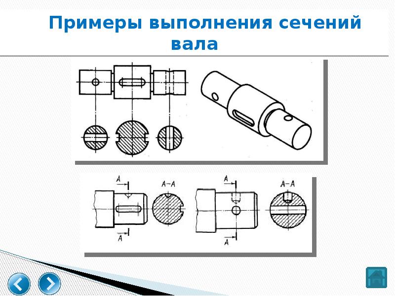 На рисунке изображен сечения