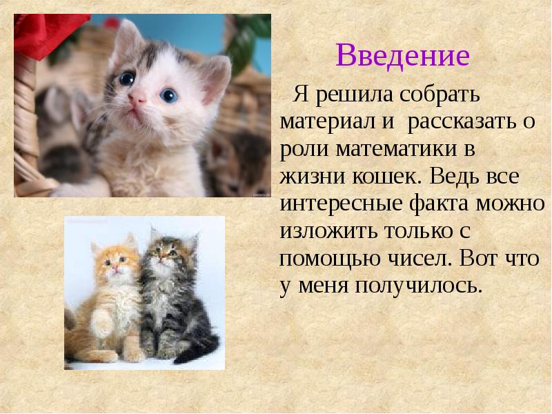 Презентация о котиках