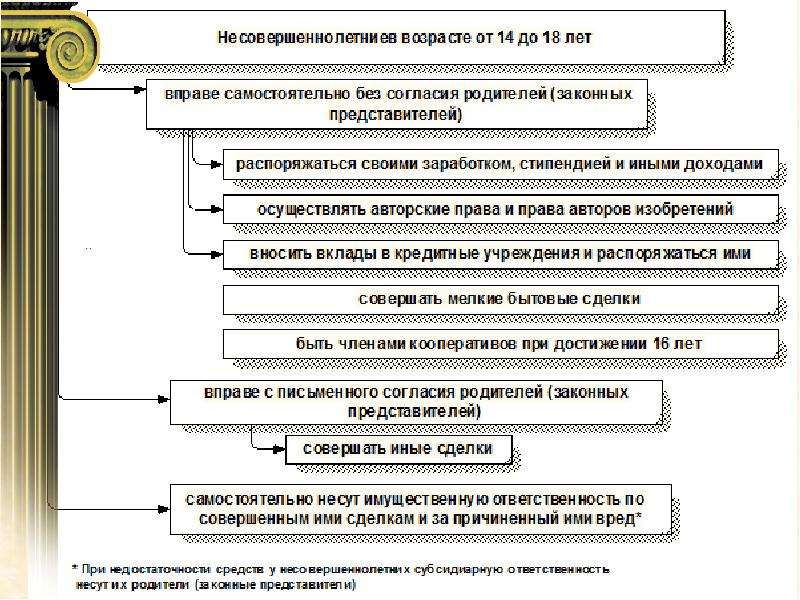 Гражданская дееспособность схема