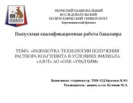 Разработка технологии получения раствора коагулянта в условиях филиала «Азот» АО «ОХК «УРАЛХИМ»