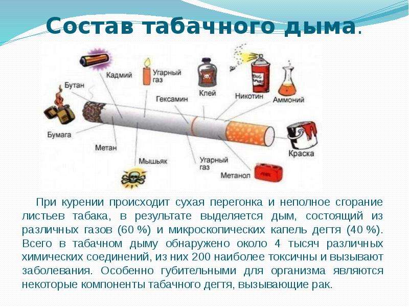 Презентация о вредных привычках 8 класс