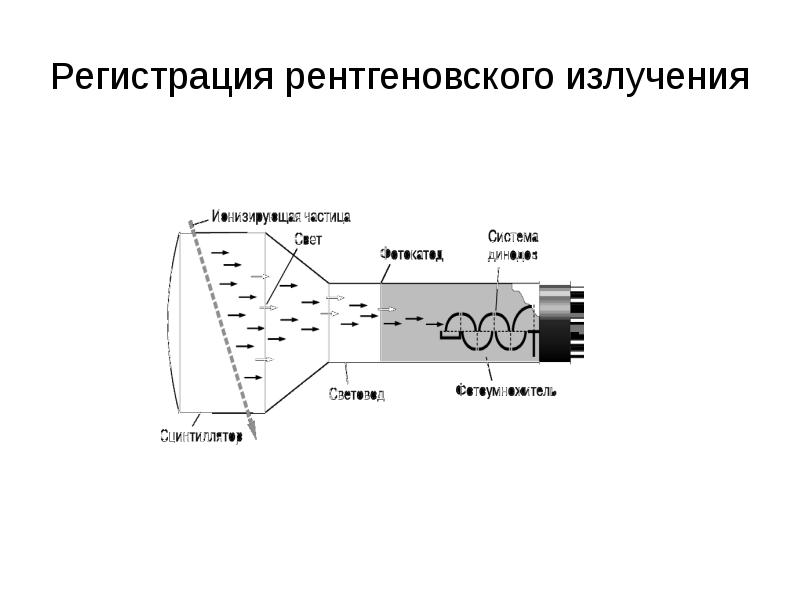 Регистрация рентгеновского изображения