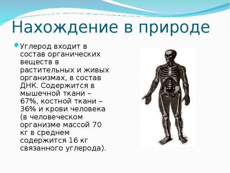 Человек это вещество. Углерод в организме человека. Роль углерода в организме человека. Углерод в человеческом организме. Углерод в человеке.