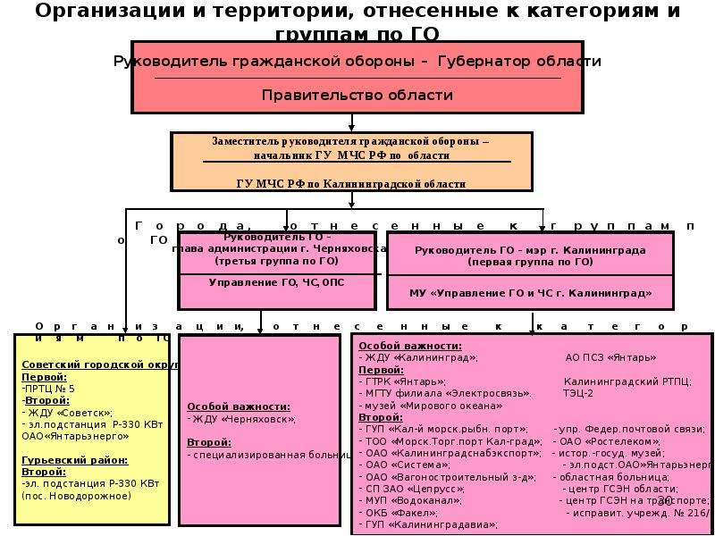 Основы деятельности организации