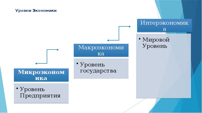 Уровни экономической науки