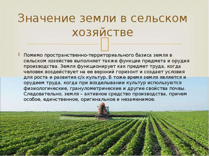 Основные сельскохозяйственные производители