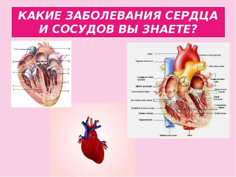 Гигиена сердечно сосудистой системы презентация