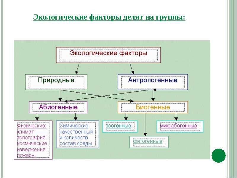 Физика и экология проект