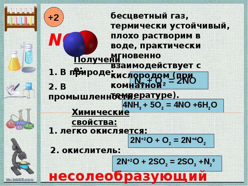 Основные соединения азота. Презентация кислородные соединения азота. Соединения азота. Соединения азота 9 класс. Кислородные соединения азота.