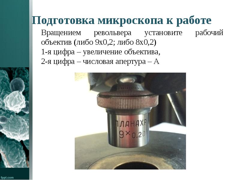 Как определяется увеличение микроскопа