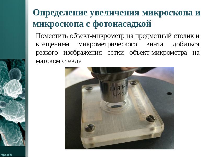 Как определить увеличение который дает световой микроскоп