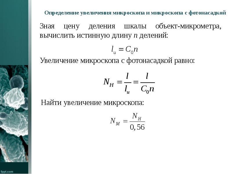 Увеличение микроскопа 40