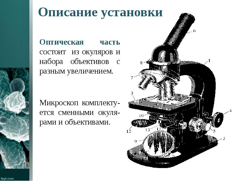 Строение микроскопа презентация