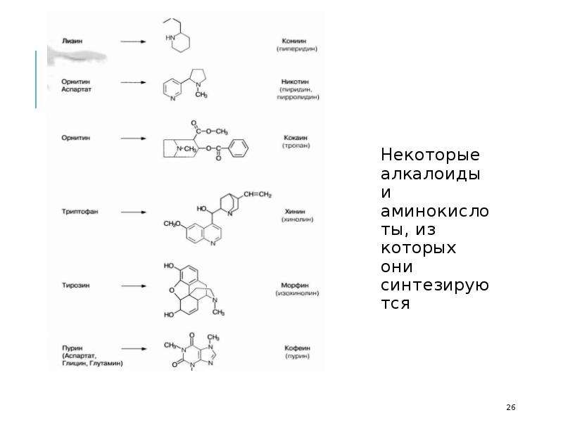 Вторичные метаболиты растений презентация