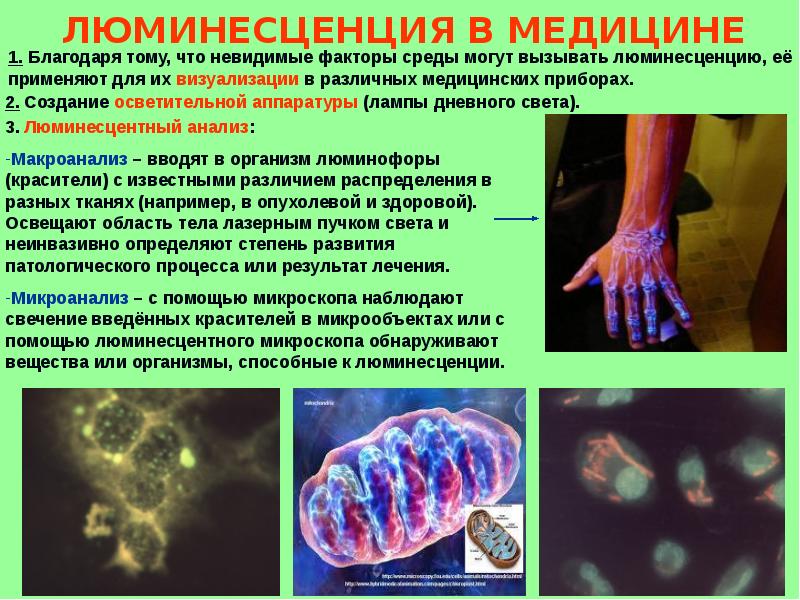 Благодаря тому что. Люминесценция в медицине. Люминесценция презентация. Люминесцентный анализ в медицине. Люминофоры в медицине.