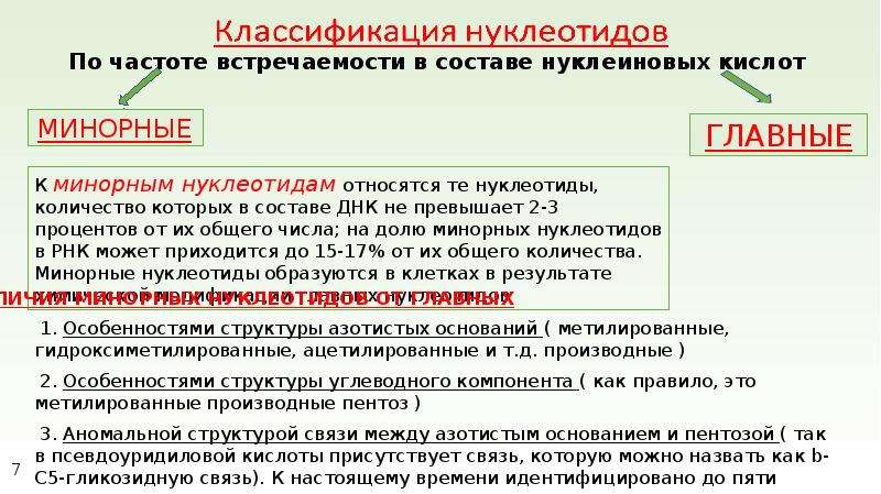 Замены нуклеотидов это. Классификация нуклеотидов. Минорные нуклеотиды. Минорные нуклеиновые основания. Минорные нуклеотидные основания.