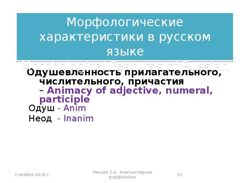 Лингвистическая основа языка. Лингвистические основы русского языка. Лингвистические основы существительного. Лингвистические основы в русском. Типы машинных переводчиков.