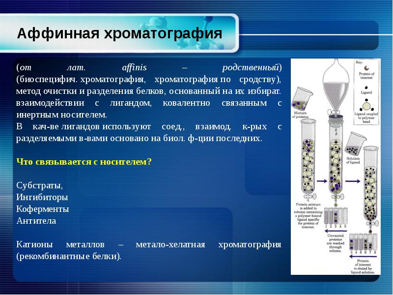 Хроматография методы разделения