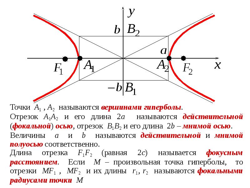 2 гиперболы