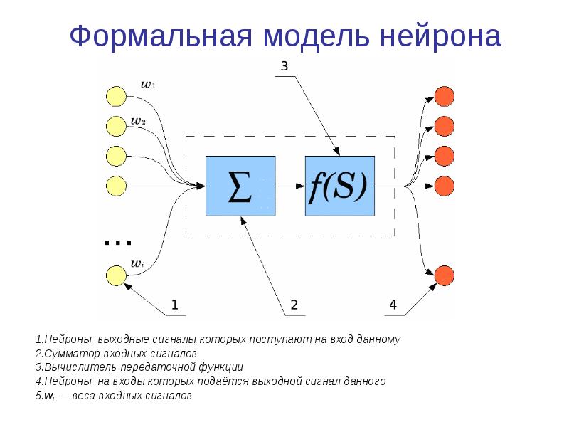 Сигнал нейрона