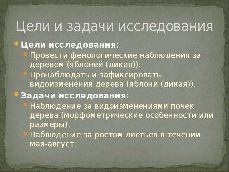 Фенологический дневник 5 класс образец по географии