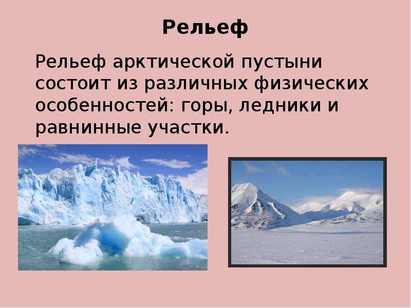 Особенности жилища в арктических пустынях