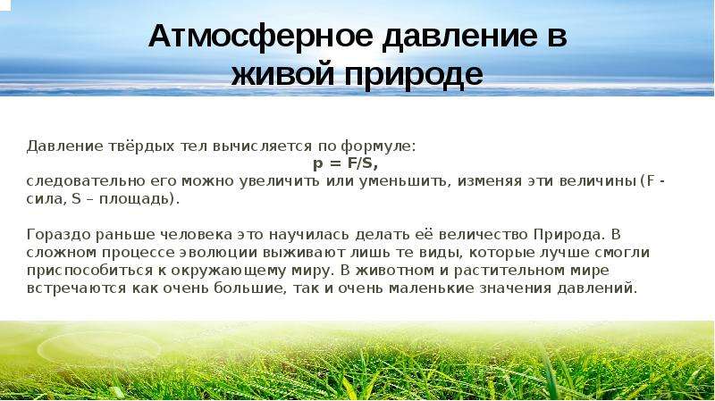 Давление в природе. Давление в живой природе. Атмосферное давление в природе. Примеры атмосферного давления в природе. Сообщение давление в природе и технике.