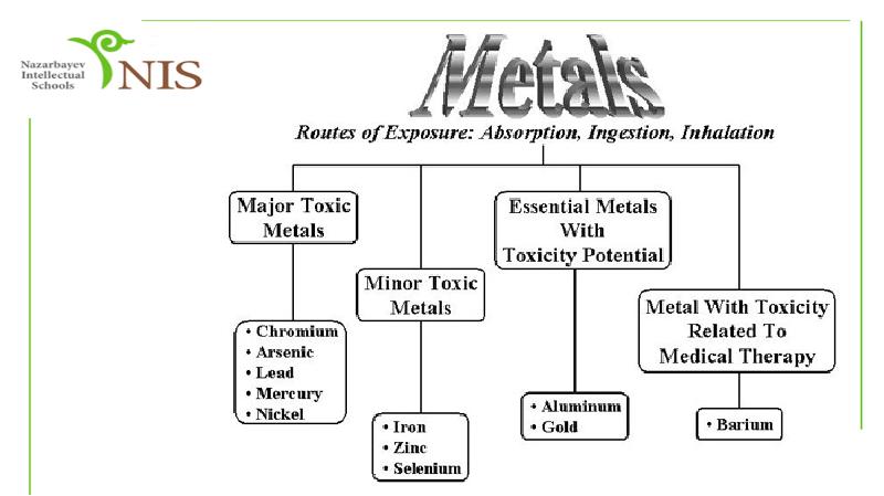 Тяжелые металлы. Опасность токсичных металлов для организма, слайд №7
