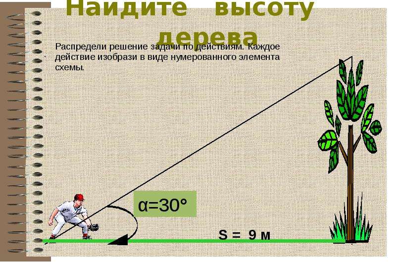 На рисунке изображены здание и стоящее рядом дерево высота дерева равна 9м