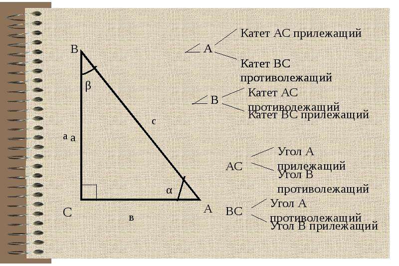 Прилежащий катет и противолежащий на рисунке