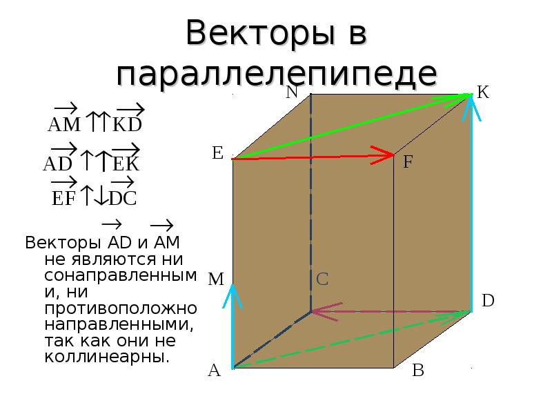 Привести примеры по чертежу куба с ребром 3 см коллинеарные векторы сонаправленные векторы