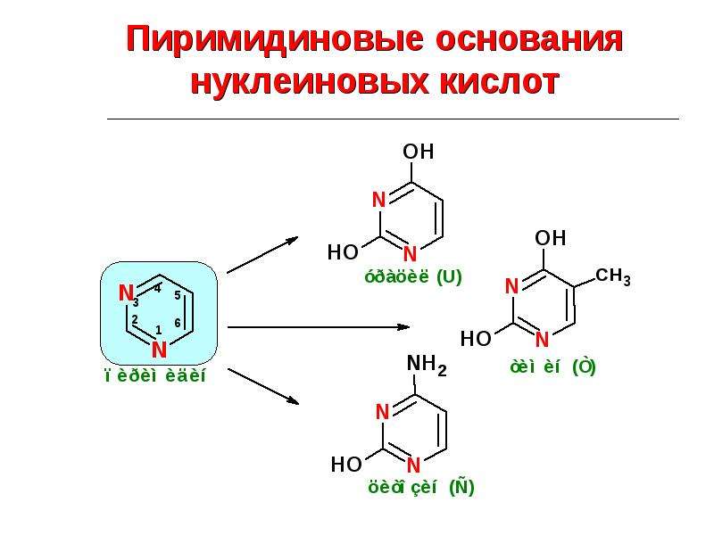 Матрица для синтеза нуклеиновых кислот