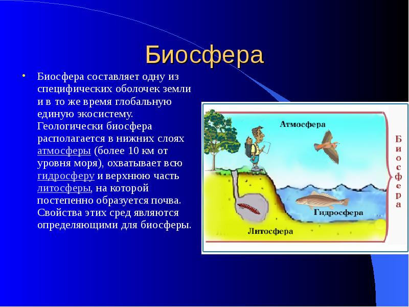 Схема связь биосферы с другими оболочками земли