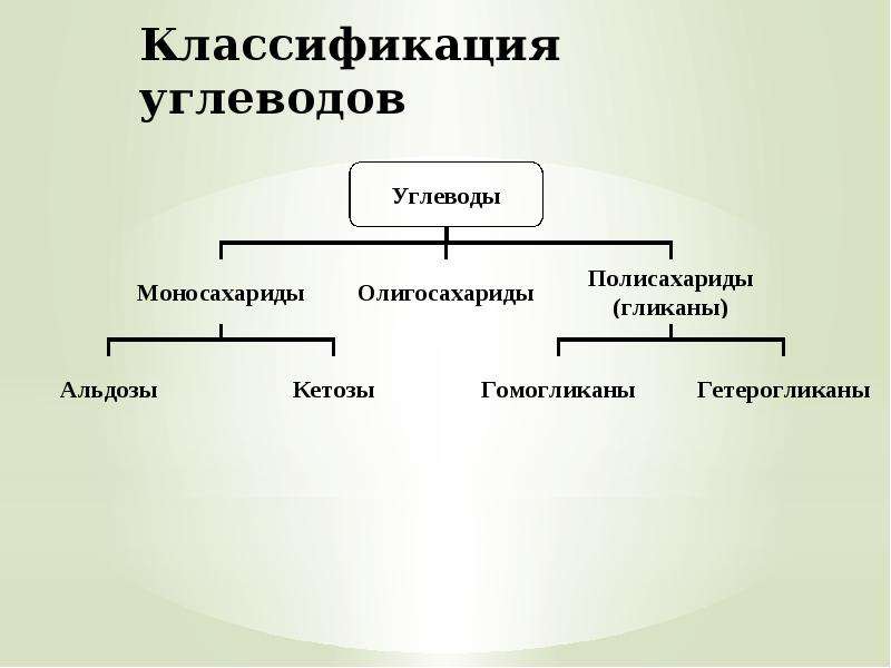 На основе текста параграфа и анализа иллюстраций составьте схему отражающую классификацию углеводов