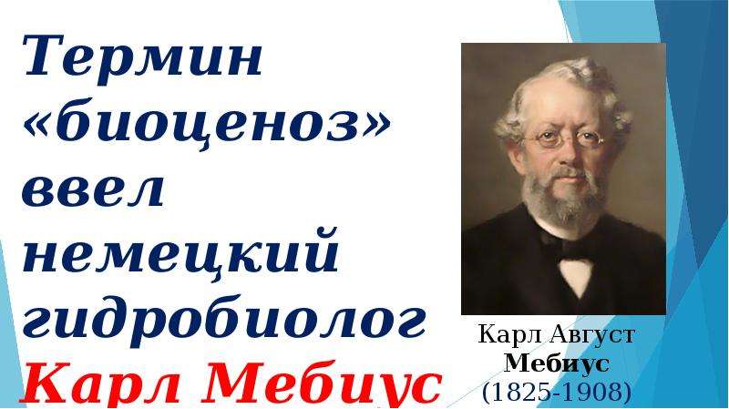 Термин биоценоз ввел. Карл Мебиус биоценоз. Термин биоценоз Мебиус. Мебиус Карл август термин биоценоз.