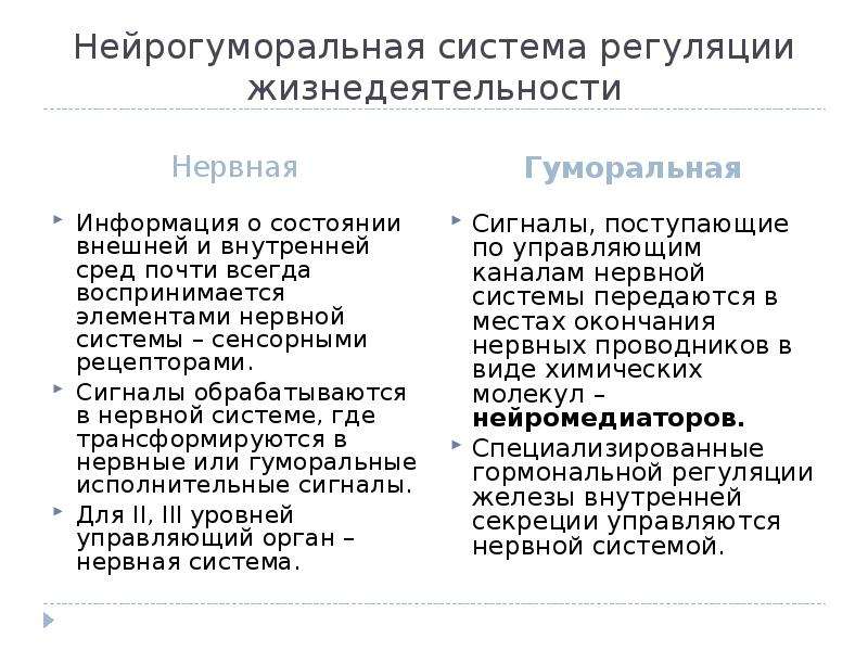 Автономный отдел нервной системы презентация 8 класс