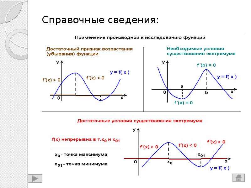 Проект производная в экономике и в биологии