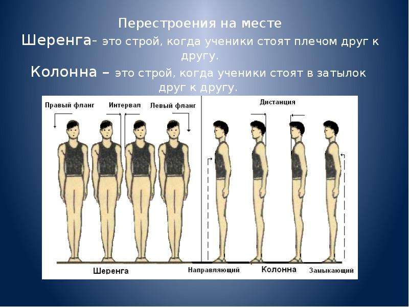 Строй в котором занимающиеся расположены в затылок