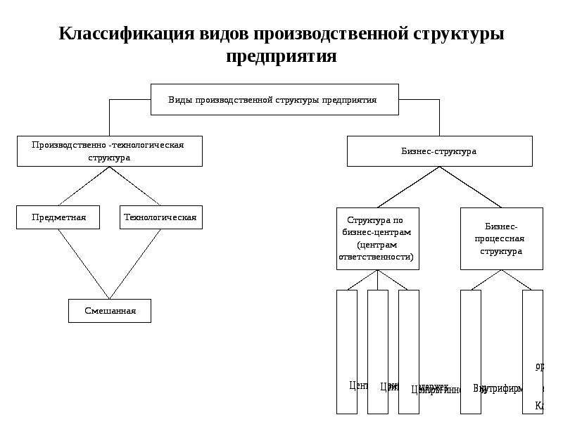 Производственный вид организации