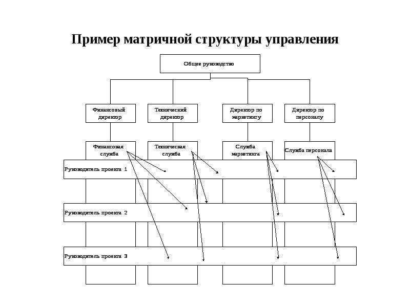 Матричная организация пример